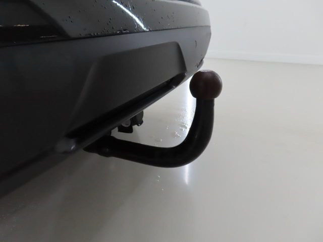 RENAULT Austral usata, con Fendinebbia