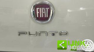 FIAT Punto Evo usata 20