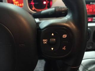 FIAT Panda Cross usata, con ESP