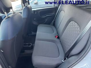 FIAT Panda usata, con Airbag testa