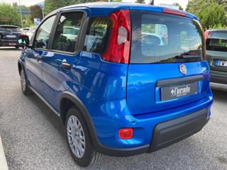 FIAT Panda usata, con Chiusura centralizzata
