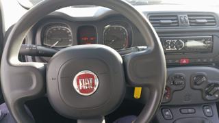 FIAT Panda usata, con Climatizzatore