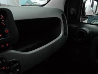 FIAT Panda usata 31