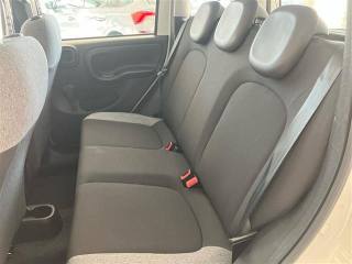 FIAT Panda usata 10