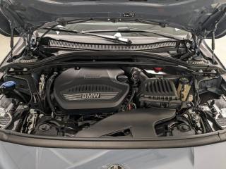 BMW 120 usata, con Fendinebbia