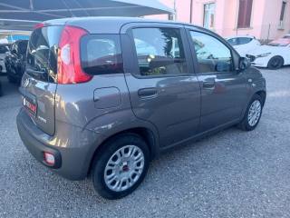 FIAT Panda usata, con Boardcomputer