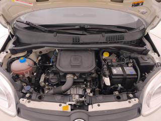 FIAT Panda usata 25