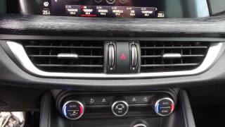 ALFA ROMEO Stelvio usata 108