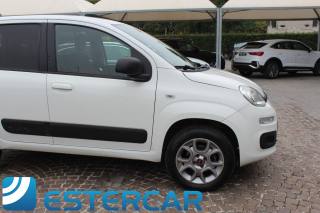 FIAT Panda usata, con Controllo trazione