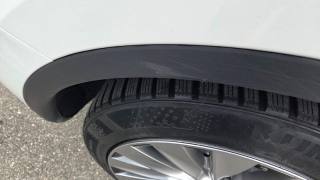 TESLA Model Y usata, con Cerchi in lega