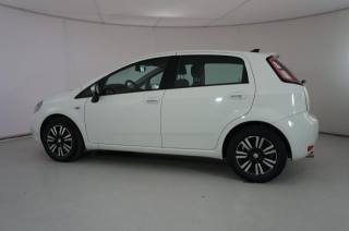 FIAT Punto usata 23