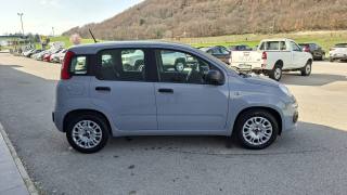 FIAT Panda usata, con Airbag Passeggero