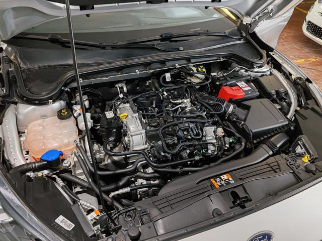 FORD Focus usata, con Luci diurne LED