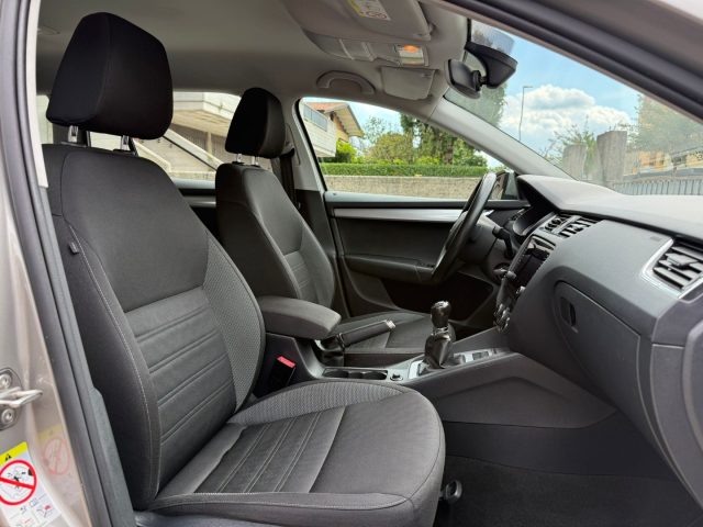 SKODA Octavia usata 12