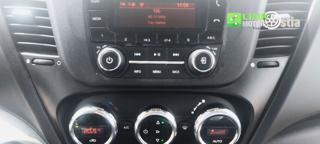 IVECO Daily usata 17