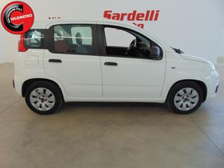 FIAT Panda usata, con Immobilizzatore elettronico