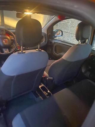 FIAT Panda usata, con Servosterzo