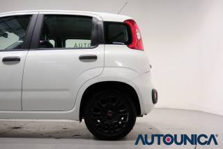 FIAT Panda usata 35