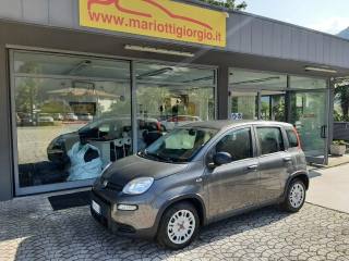 FIAT Panda 1.0 FireFly S&S Hybrid OK NEOPATENTATI-  -