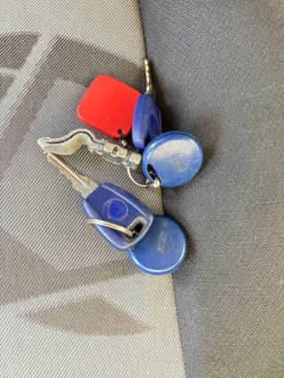 FIAT Punto usata, con Airbag testa