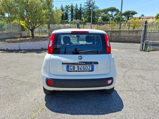 FIAT Panda usata 4