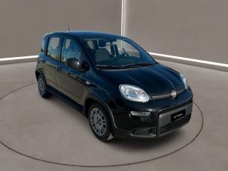 FIAT Panda 3ª serie -  1.0 FireFly S&S Hybrid