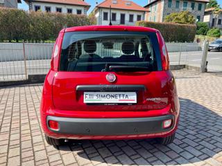 FIAT Panda usata, con Antifurto