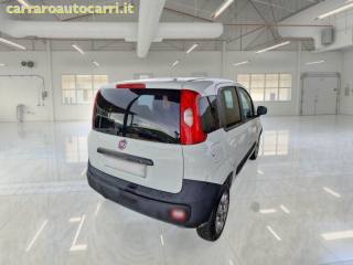 FIAT Panda usata, con Airbag