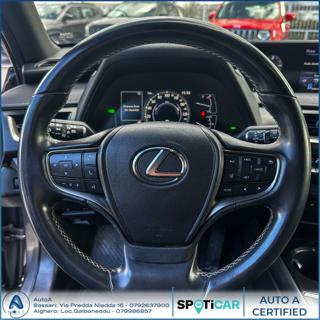 LEXUS UX 250h usata, con Specchietti laterali elettrici