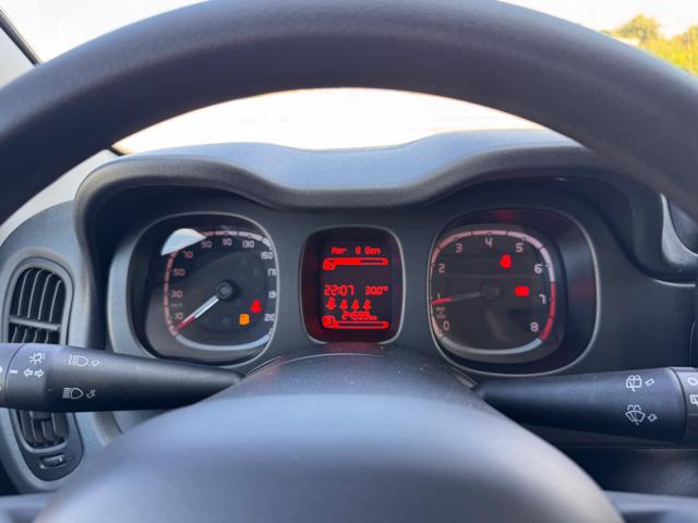 FIAT Panda Cross usata, con Park Distance Control
