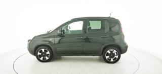 FIAT Panda Cross usata, con Alzacristalli elettrici