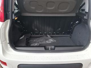 FIAT Panda usata, con Trazione integrale