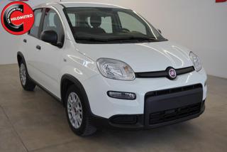 FIAT Panda usata, con Airbag