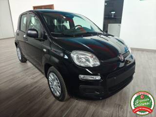 FIAT Pandina usata, con Airbag laterali