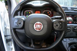 FIAT Panda usata, con Cronologia tagliandi
