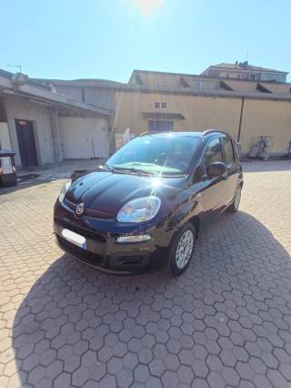 FIAT Panda usata 1