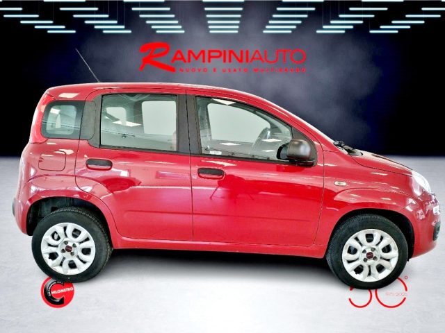 FIAT Panda usata 5