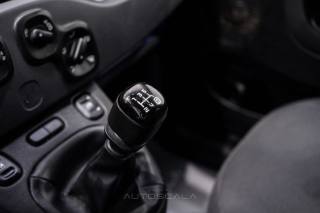 FIAT New Panda usata 12