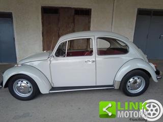 VOLKSWAGEN Maggiolino usata 5