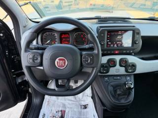 FIAT Panda Cross usata 20