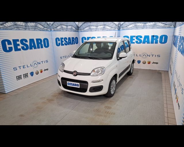 FIAT New Panda usata, con Airbag laterali