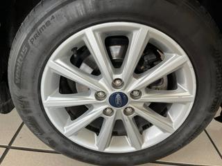 FORD C-Max usata, con Fendinebbia
