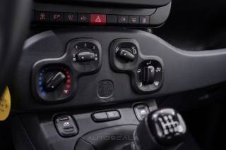FIAT New Panda usata, con Sensori di parcheggio posteriori