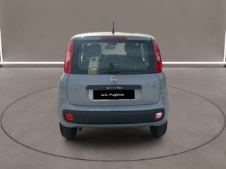 FIAT Panda usata, con Chiusura centralizzata