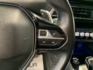 PEUGEOT 3008 usata, con Controllo vocale