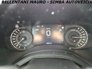 JEEP Renegade usata, con Bracciolo
