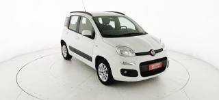 FIAT Panda usata 30