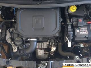 FIAT Panda usata 17