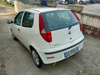 FIAT Punto usata 12