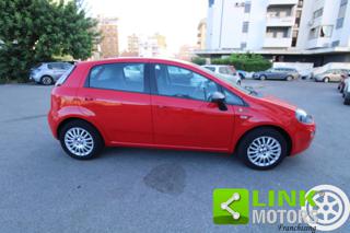 FIAT Punto usata 21